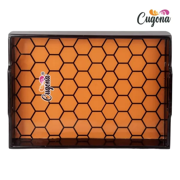 Glossy_Wooden_Serving_Tray_with_Epoxy_Resin_Coating,_14x10x2_Inches,_Engineered_Wood,_Enamel_Deco-Painted_Sides__Multipurpose_Tray_for_Serving,_Decoration,_Kitchen_Organizer_Wooden_Tray