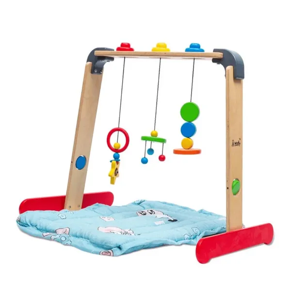Baby_Gym_with_Matt