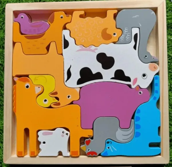 Wooden_3D_Cognitive_Puzzle_Board,_Pet_Animal,_Forest_Animal,_Dinosaur_and_Fruits_&_Vegetables_Puzzle_Sorting_&_Stacking_Toys_3