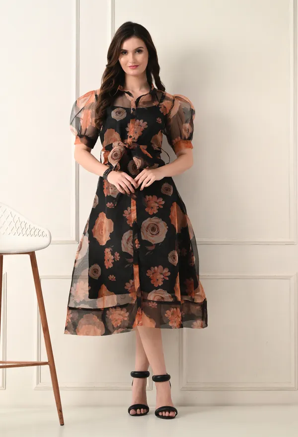 Black_Organza_Dress_For_Women