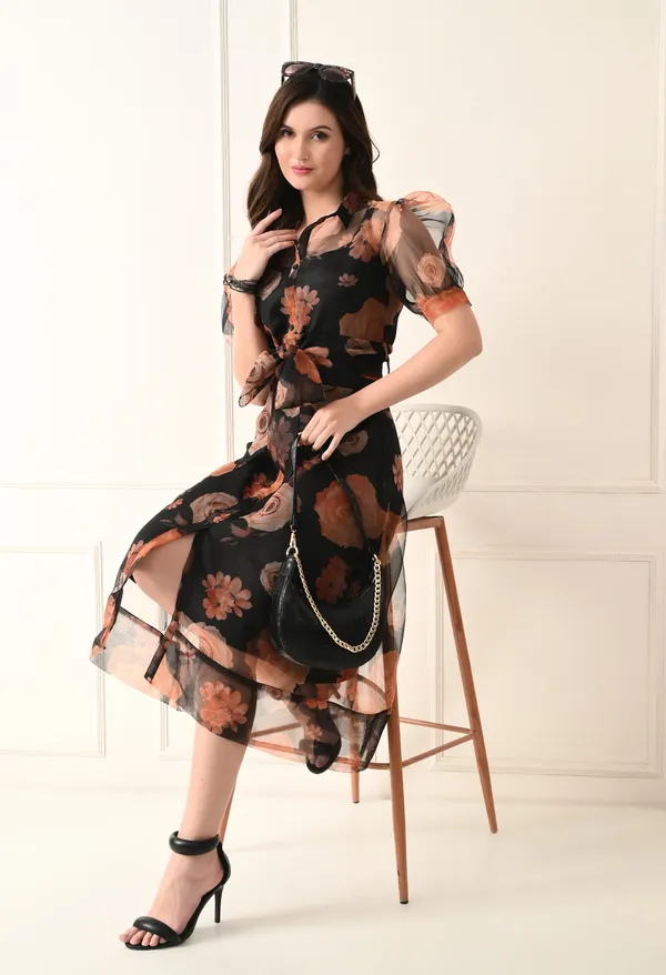 Black_Organza_Dress_For_Women