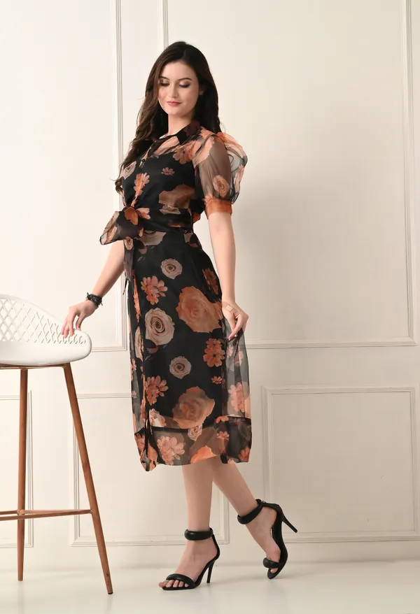 Black_Organza_Dress_For_Women