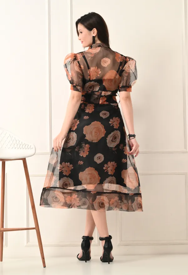 Black_Organza_Dress_For_Women