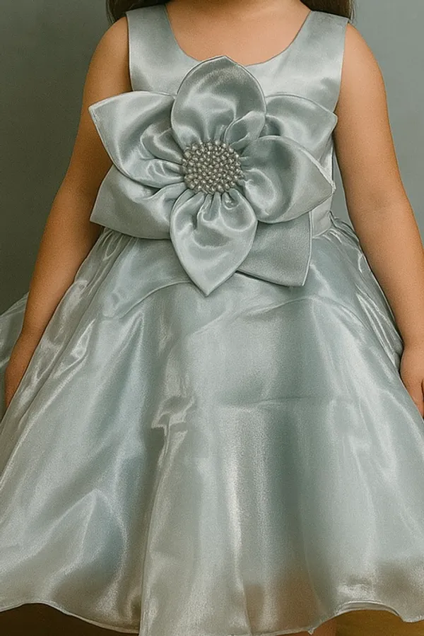 Pack_Of_2_Pastel_Blue_&_White_Organza_Dress_For_Kids