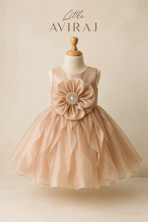 Rose_Pink_Organza_Dress_For_Kids