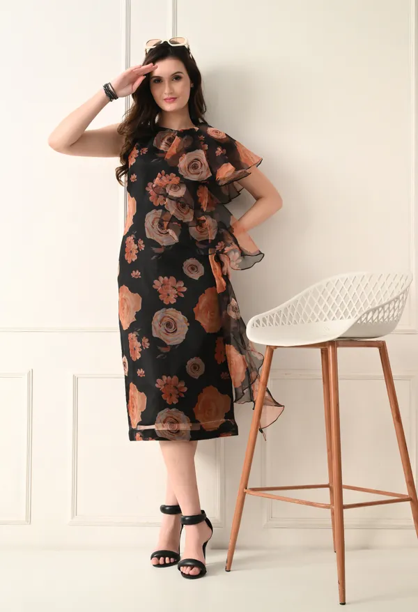 Black_Organza_Dress_For_Women