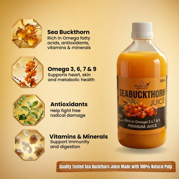 Natural_Himalayan_Sea_Buckthorn_Pulp_–_Pure_Superfood_for_Immunity,_Skin_&_Daily_Wellness_