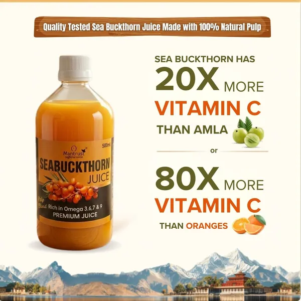 Natural_Himalayan_Sea_Buckthorn_Pulp_–_Pure_Superfood_for_Immunity,_Skin_&_Daily_Wellness_
