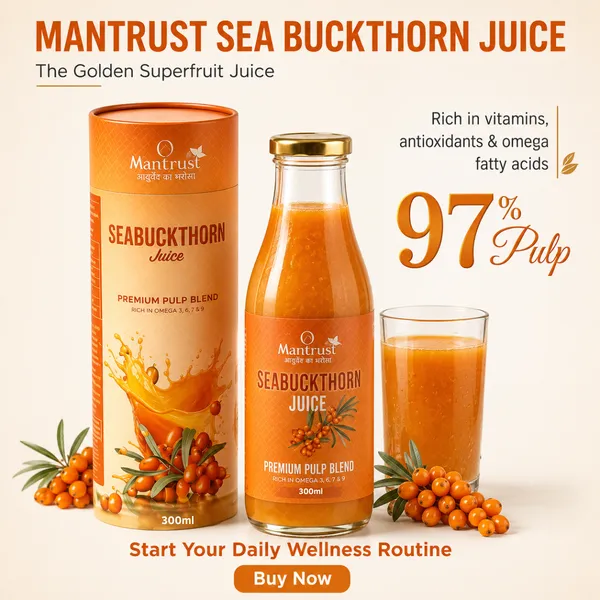 Natural_Himalayan_Sea_Buckthorn_Pulp_–_Pure_Superfood_for_Immunity,_Skin_&_Daily_Wellness_