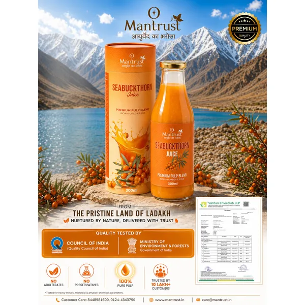 Natural_Himalayan_Sea_Buckthorn_Pulp_–_Pure_Superfood_for_Immunity,_Skin_&_Daily_Wellness_