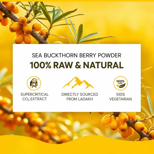 Sea_Buckthorn_Capsule