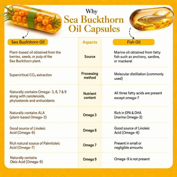 Sea_Buckthorn_Capsule