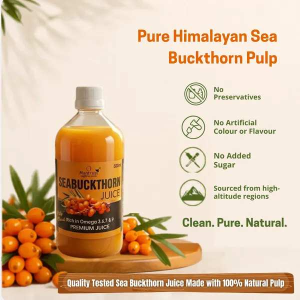 Natural_Himalayan_Sea_Buckthorn_Pulp_–_BUY_1__Get_1_FREE_!_Pure_Superfood_for_Immunity,_Skin_&_Daily_Wellness
