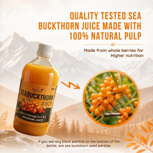 Natural_Himalayan_Sea_Buckthorn_Pulp_–_BUY_1__Get_1_FREE_!_Pure_Superfood_for_Immunity,_Skin_&_Daily_Wellness