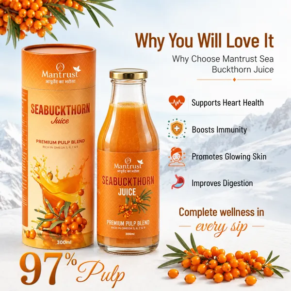 Natural_Himalayan_Sea_Buckthorn_Pulp_–_Pure_Superfood_for_Immunity,_Skin_&_Daily_Wellness_