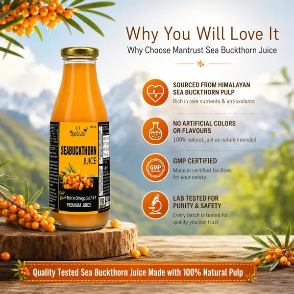 Natural_Himalayan_Sea_Buckthorn_Pulp_–_BUY_1__Get_1_FREE_!_Pure_Superfood_for_Immunity,_Skin_&_Daily_Wellness