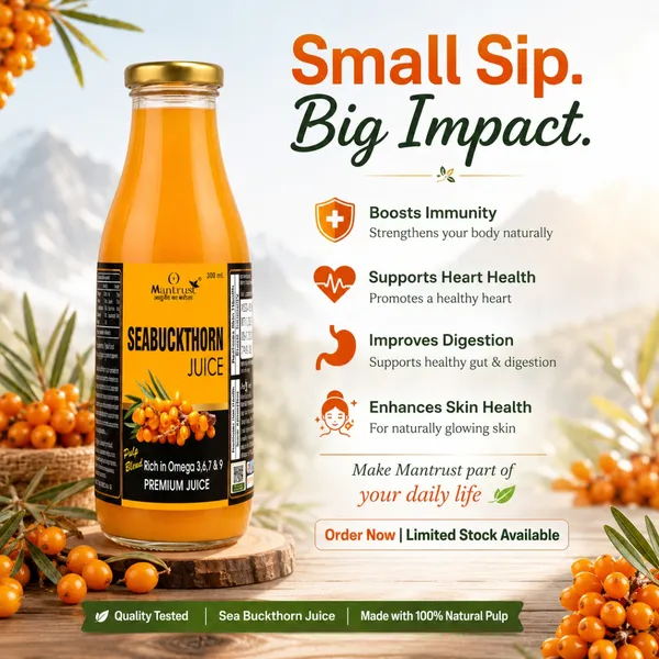 Natural_Himalayan_Sea_Buckthorn_Pulp_–_BUY_1__Get_1_FREE_!_Pure_Superfood_for_Immunity,_Skin_&_Daily_Wellness