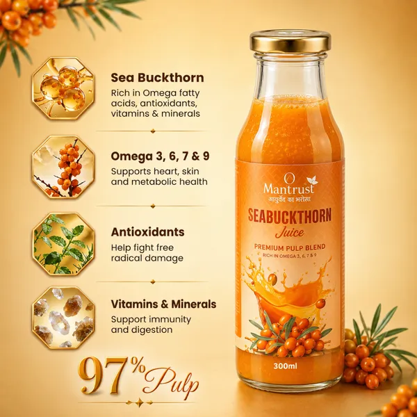 Natural_Himalayan_Sea_Buckthorn_Pulp_–_Pure_Superfood_for_Immunity,_Skin_&_Daily_Wellness_