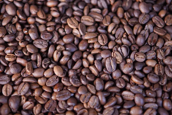 Premium_Classic_Arabian_Blend_Roast_Coffee