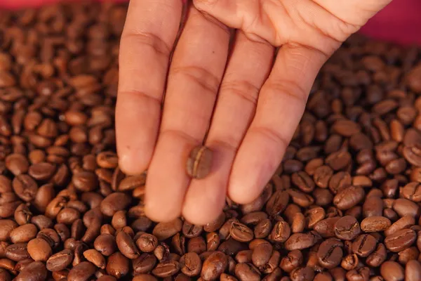 Australian_Breakfast_Blend_Classic_Roast_Coffee