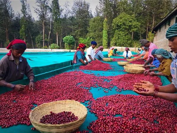 Cowboy_Blend_Premium_Roast_Coffee