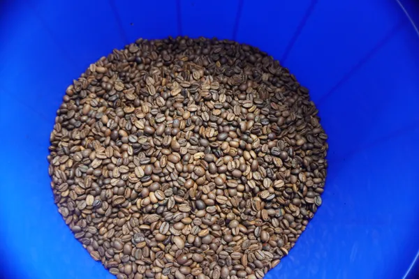 Holler_Mountain_Blend_Premium_Coffee