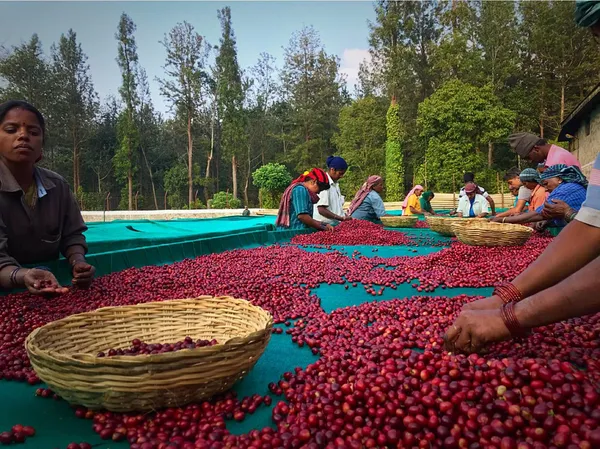 Bar_Espresso_Blend_Premium_Roast_Coffee_Beans