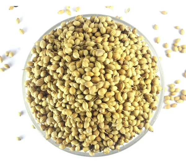 Nuts_Organic_Coriander_Seeds,