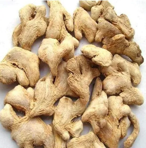 Nuts_Premium_Raw_Dry_Ginger_Sun-Dried_Whole_Ginger_For_Cooking_Health_&_Ayurveda
