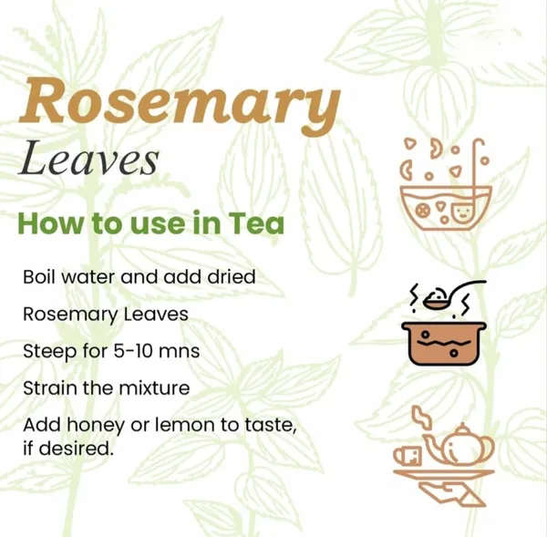 Nuts_Rosemary_Leaves_For_Hair_Growth|_1%_Natural,_Preservative_Free_|_Dried_Rosemary_Leaves_|_Suitable_For_Rosemary_And_Rosemarry_Leaves_Preparation