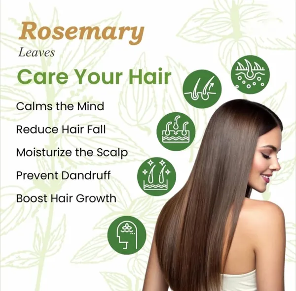 Nuts_Rosemary_Leaves_For_Hair_Growth|_1%_Natural,_Preservative_Free_|_Dried_Rosemary_Leaves_|_Suitable_For_Rosemary_And_Rosemarry_Leaves_Preparation