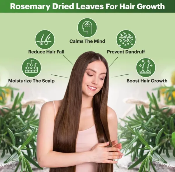 Nuts_Rosemary_Leaves_For_Hair_Growth|_1%_Natural,_Preservative_Free_|_Dried_Rosemary_Leaves_|_Suitable_For_Rosemary_And_Rosemarry_Leaves_Preparation