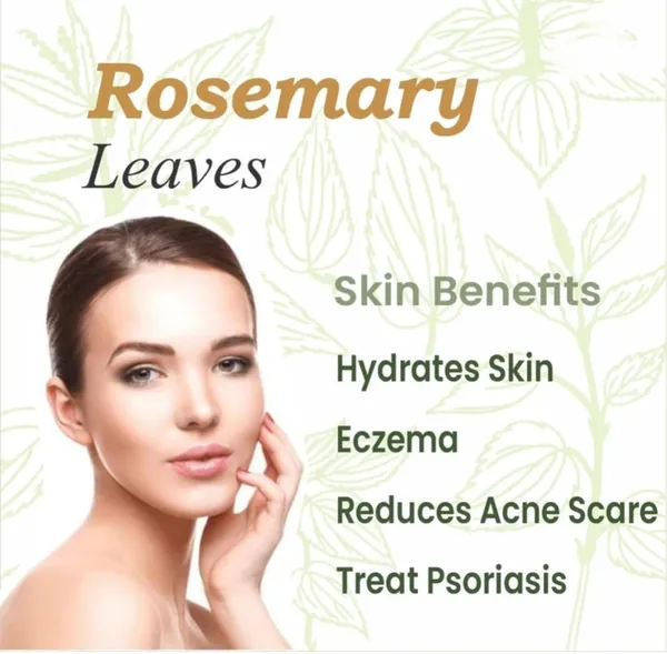 Nuts_Rosemary_Leaves_For_Hair_Growth|_1%_Natural,_Preservative_Free_|_Dried_Rosemary_Leaves_|_Suitable_For_Rosemary_And_Rosemarry_Leaves_Preparation