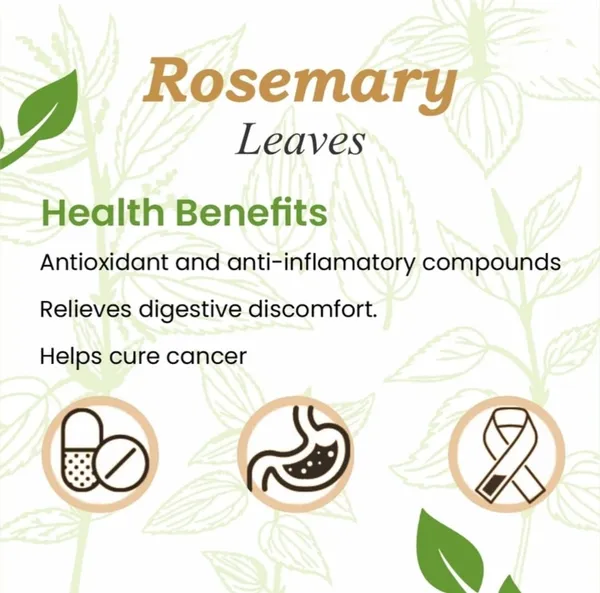 Nuts_Rosemary_Leaves_For_Hair_Growth|_1%_Natural,_Preservative_Free_|_Dried_Rosemary_Leaves_|_Suitable_For_Rosemary_And_Rosemarry_Leaves_Preparation