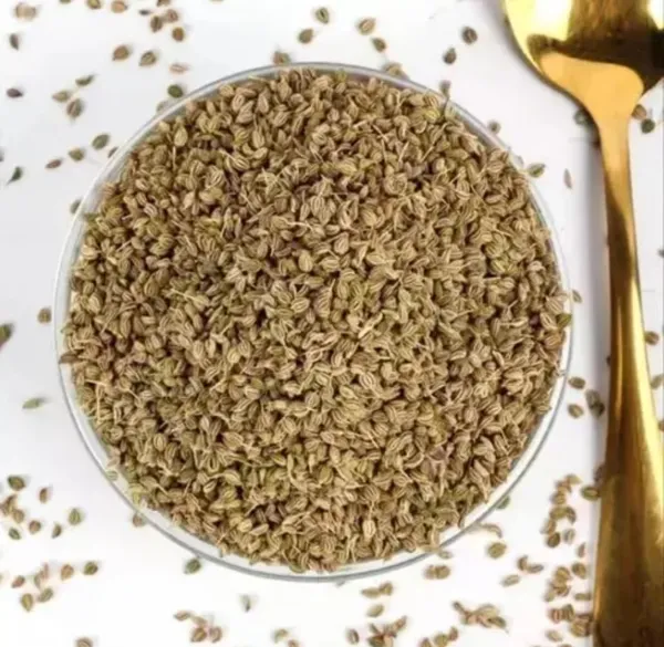 Nuts_Dry_Katha,_Sabut_Kattha,_Paan_Katha,_Indian_White_Katha