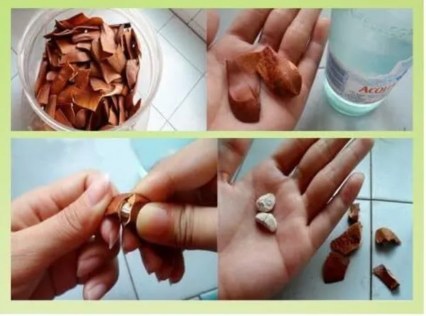 Royal_Premium_Kadwa_Badam_-_Bitter_Almonds_Seed_100G_-_Diabetes_Almonds_-_Sugar_Badam_Almonds