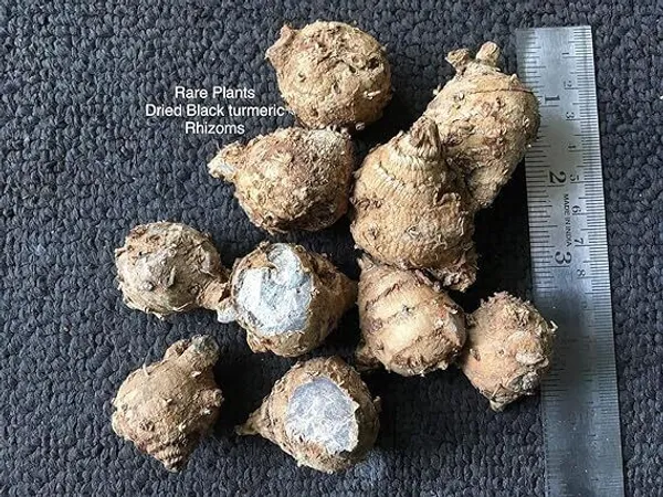 Royal_Premium_Kali_Haldi/Black_Turmeric_(1_Kg)_Original/Nalla_Pasupu/Karu_Manjal_Narkachur