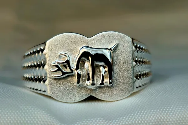 Silver_Stylized_Bull_Signet_Ring_With_A_Textured_Band