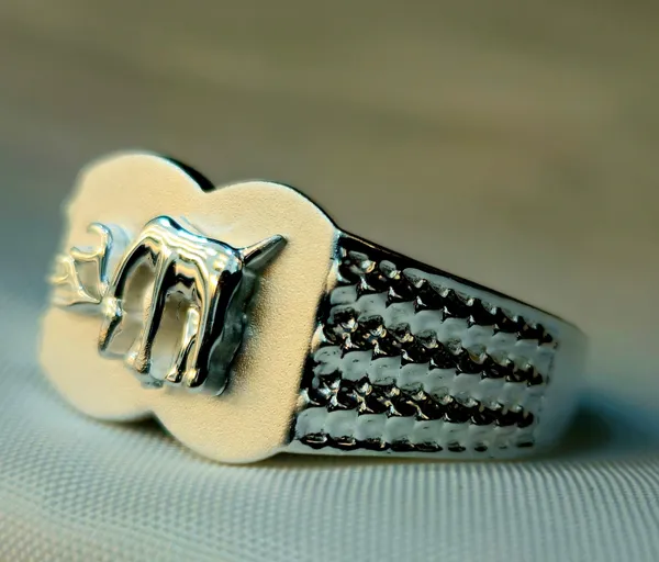 Silver_Stylized_Bull_Signet_Ring_With_A_Textured_Band