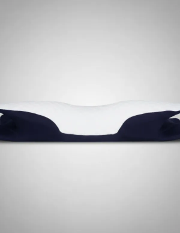 Blue_And_White_Memory_Foam_Cervical_Pillow_Multi-Positional_Sleepers_And_Neck_Contouring