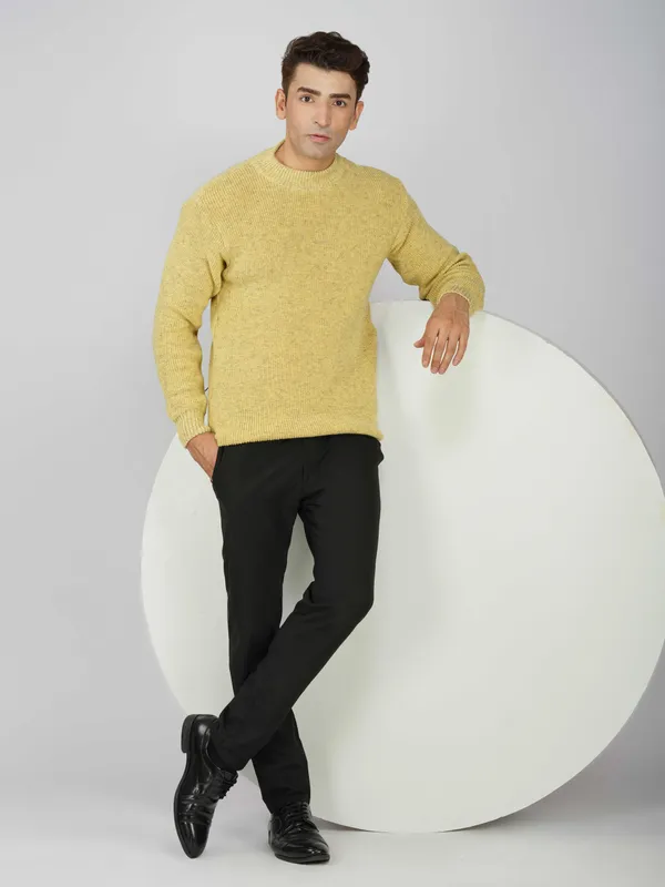Lemon_Men's_Winter_High_Neck_Sweater_Stylish_Warm_Wool_Pullover_For_Cold_Weather