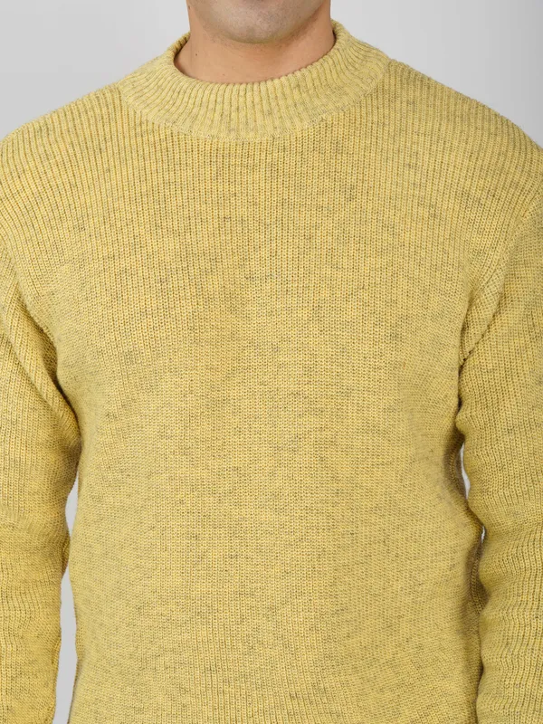 Lemon_Men's_Winter_High_Neck_Sweater_Stylish_Warm_Wool_Pullover_For_Cold_Weather