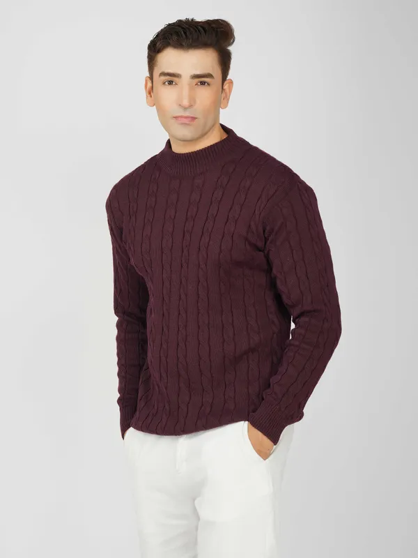 Wine_Men's_High_Neck_Cable_Knit_Sweater_Premium_Knitted_Winter_Pullover_For_Men