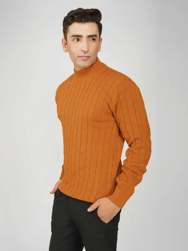 Rust_Men's_High_Neck_Cable_Knit_Sweater_Premium_Knitted_Winter_Pullover_For_Men