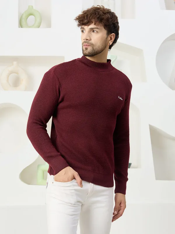 Wine_Mens_High_Neck_Self_Knitted_Plain_Sweater