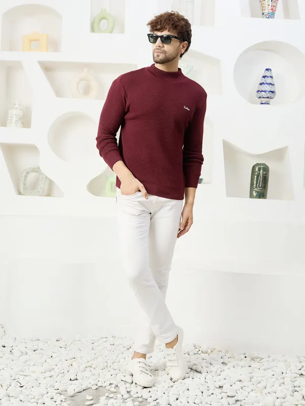 Wine_Mens_High_Neck_Self_Knitted_Plain_Sweater