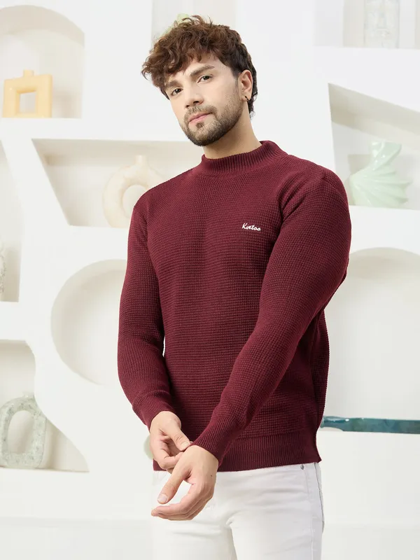 Wine_Mens_High_Neck_Self_Knitted_Plain_Sweater