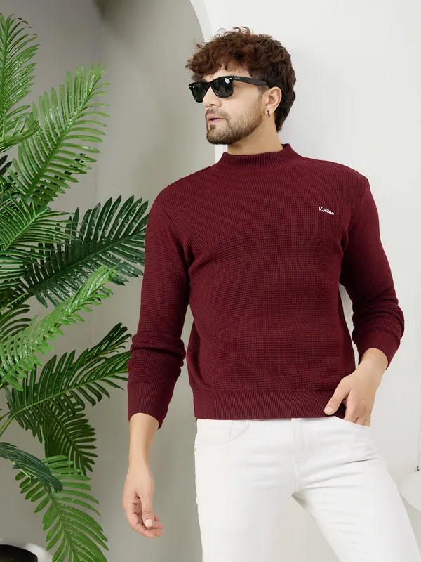 Wine_Mens_High_Neck_Self_Knitted_Plain_Sweater