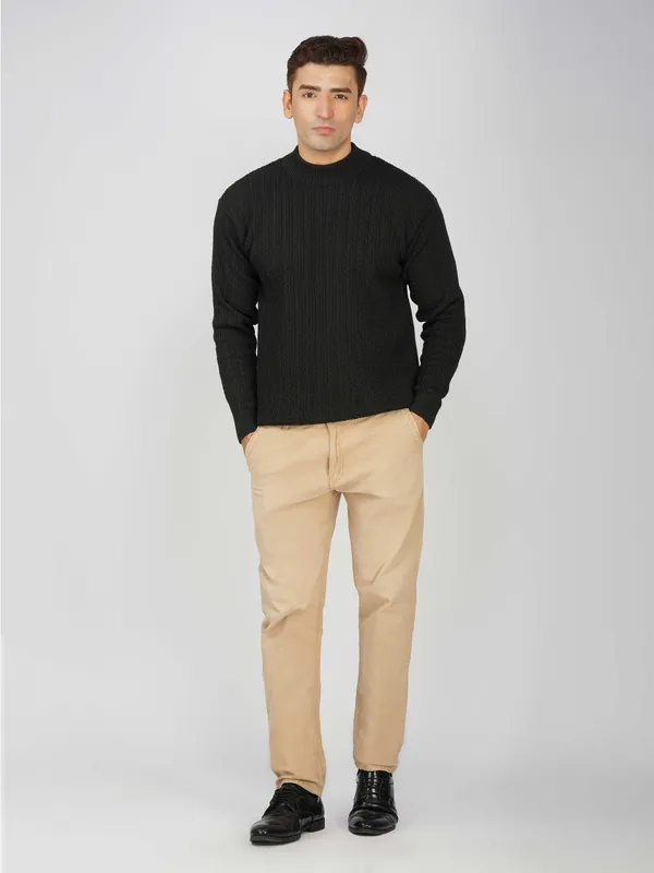 Black_Men's_Small_Cable_Knit_High_Neck_Sweater_Winter_Warm_Slim_Fit_Pullover