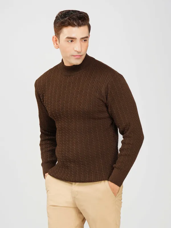 Brown_Men's_Small_Cable_Knit_High_Neck_Sweater_Winter_Warm_Slim_Fit_Pullover